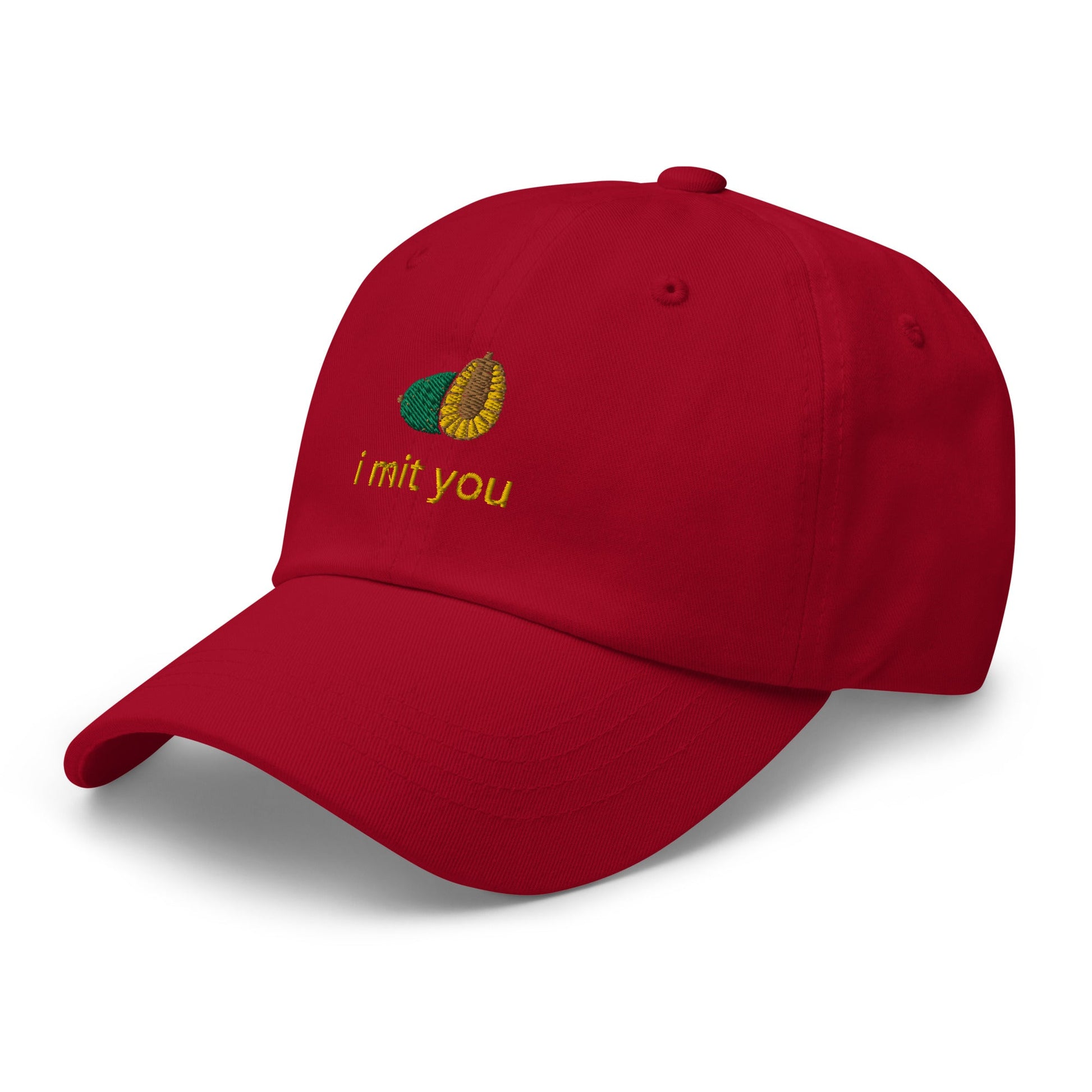 I MIT You Embroidered Dad hat - chucklecouture co.